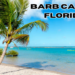 barb carter florida