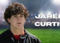 jared curtis
